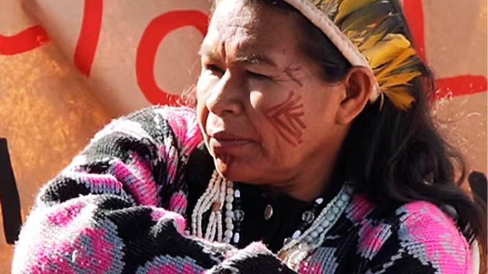 Leia mais sobre o artigo Festicidi 2025 homenageia o Amazonas e amplia ações educativas, ambientais e culturais em Juiz de Fora